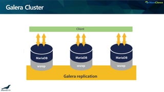 Galera Cluster
 