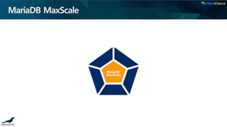 MariaDB MaxScale
 