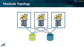 MaxScale Topology
 