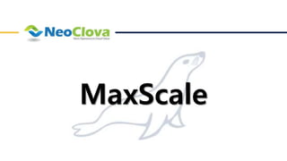 MaxScale
 