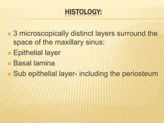 HISTOLOGY:
 3 microscopically distinct layers surround the
space of the maxillary sinus:
 Epithelial layer
 Basal lamina
 Sub epithelial layer- including the periosteum
 
