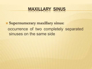 MAXILLARY SINUS
 Supernumerary maxillary sinus:
occurrence of two completely separated
sinuses on the same side
 