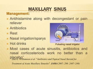 MAXILLARY SINUS
Management:
 Antihistamine along with decongestant or pain
reliever
 Antibiotics
 Rest
 Nasal irrigation/sparys
 Hot drinks
 Most cases of acute sinusitis, antibiotics and
nasal corticosteriods work no better than a
placebo”
Pulsating nasal irrigator
(Ian G. Williamson et al. "Antibiotics and Topical Nasal Steroid for
Treatment of Acute Maxillary Sinusitis". JAMA 2007; 298: 2487–249)
 