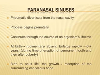 PARANASAL SINUSES
 Pneumatic diverticula from the nasal cavity
 Process begins prenatally
 Continues through the course of an organism's lifetime
 At birth→ rudimentary/ absent. Enlarge rapidly →6-7
years. (during time of eruption of permanent tooth and
then after puberty)
 Birth to adult life, the growth→ resorption of the
surrounding cancellous bone
 