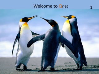 Welcome to Qnet 1
 