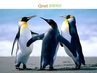 Qnet स्वागत
 