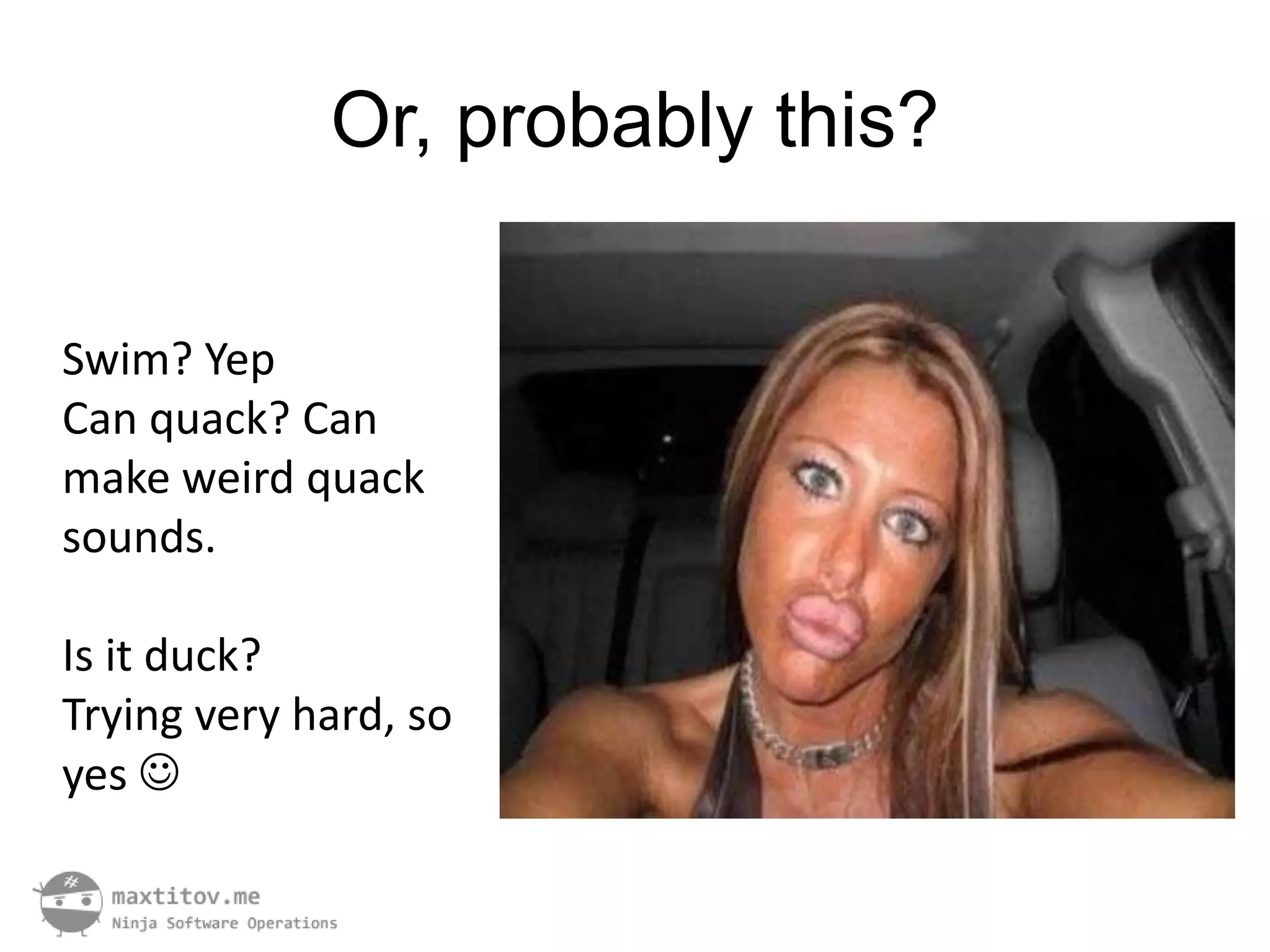 Or, probably this?

Swim? Yep
Can quack? Can
make weird quack
sounds.

Is it duck?
Trying very hard, so
yes 
 