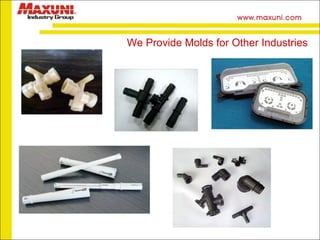 We Provide Molds for Other Industries 