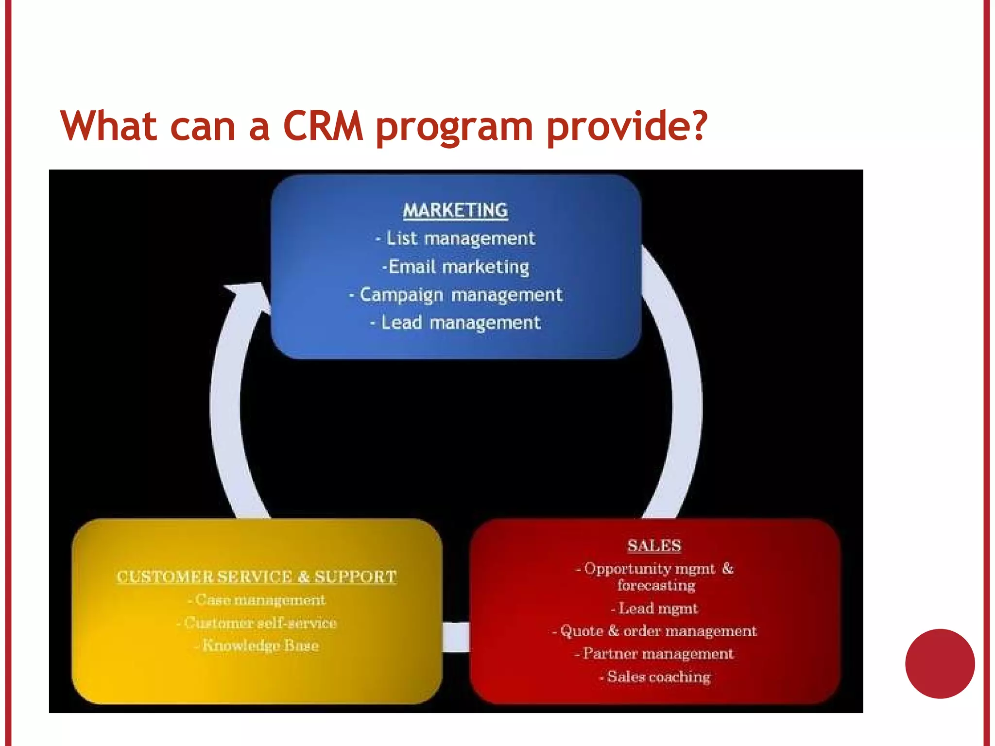 What can a CRM program provide?