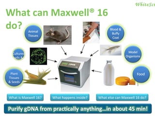What can Maxwell® 16 do? WhiteSci What happens inside? What is Maxwell 16? What else can Maxwell 16 do? Plant Tissues & Seeds Cultured cells &  bacteria 