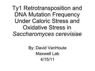 Ty1 Retrotransposition and DNA Mutation Frequency Under Caloric Stress and Oxidative Stress in  Saccharomyces cerevisiae By: David VanHoute Maxwell Lab 4/15/11 