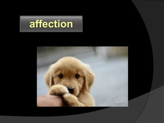 affection
 