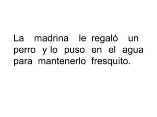 La madrina le regaló un
perro y lo puso en el agua
para mantenerlo fresquito.