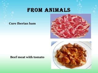 FROM ANIMALS

Cure Iberian ham




Beef meat with tomato
 