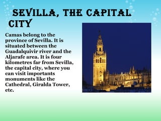   SEVILLA, THE CAPITAL
 CITY
Camas belong to the             
province of Sevilla. It is
situated between the
Guadalquivir river and the
Aljarafe area. It is four
kilometres far from Sevilla,
the capital city, where you
can visit importants
monuments like the
Cathedral, Giralda Tower,
etc.
 