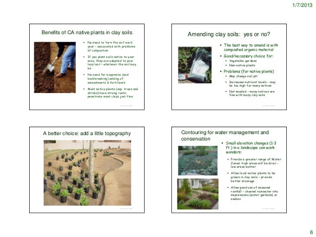 hummingbird gardening in clay soil notes
