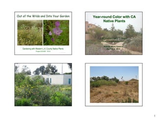 Out of the Wilds and Into Your Garden                            Year-round Color with CA
                                                                       Native Plants



                                                                    C.M. Vadheim and T. Drake
                                                                     CSUDH & Madrona Marsh Preserve


                                                                       Madrona Marsh Preserve
    Gardening with Western L.A. County Native Plants                       May 1 & 4, 2010
                   Project SOUND - 2010
                                               © Project SOUND                                        © Project SOUND




                                               © Project SOUND                                        © Project SOUND




                                                                                                                        1
 