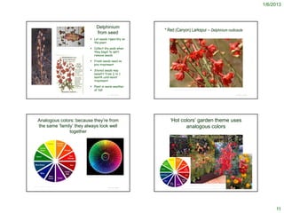 1/6/2013



                                                                                                              Delphinium
                                                                                                                                                       * Red (Canyon) Larkspur – Delphinium nudicaule
                                                                                                              from seed
                                                                                                   Let seeds ripen/dry on
                                                                                                    the plant
                                            http://www.researchlearningcenter.com/bloom/sp
                                            ecies/Delphinium_cardinale.htm                         Collect dry pods when
                                                                                                    they begin to split;
                                                                                                    remove seeds

                                                                                                   Fresh seeds need no
                                                                                                    pre-treatment

                                                                                                   Stored seeds may
                                                                                                    benefit from ½ to 1
                                                                                                    month cold-moist
                                                                                                    treatment

                                                                                                   Plant in warm weather
                                                                                                    of fall                                                  http://www.vertograd-s.ru/catalog/mn/Delphinium/Delphinium_nudicaule_Fox.html



                                                                                                                                     © Project SOUND                                                                                                                © Project SOUND




        Analogous colors: because they’re from                                                                                                            ‘Hot colors’ garden theme uses
        the same ‘family’ they always look well                                                                                                                  analogous colors
                       together




                                                                                             http://dundeeunited.us/color/color_3.html




                                                                                                                                                          http://garden-photos-com.photoshelter.com/gallery-image/Backyard-Deck-Patio-Stock-
                                                                                                                                                          Images/G0000cU2.IvH6QQM/I0000pg.rlII4gcE
                                                                                                                                                                                     http://www.anniesannuals.com/plt_lst/lists/general/lst.gen.asp?prodid=324
http://dundeeunited.us/color/color_3.html
                                                                                                                                     © Project SOUND                                                                                                                © Project SOUND
                                                                                                                                                                               http://sbwildflowers.wordpress.com/wildflowers/ranunculaceae/delphinium/delphinium
                                                                                                                                                                               -cardinale/




                                                                                                                                                                                                                                                                                           11
 