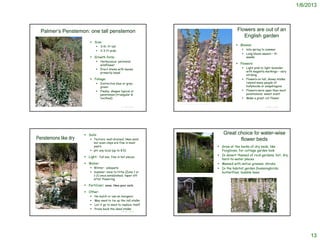 1/6/2013



         Palmer’s Penstemon: one tall penstemon                                                                                                                                                                  Flowers are out of an
                                                                                                                                                                                                                    English garden
                                                                                       Size:
                                                                                              3-5+ ft tall                                                                                                     Blooms:
                                                                                              2-3 ft wide                                                                                                                     late spring to summer
                                                                                                                                                                                                                               Long bloom season – 4+
                                                                                       Growth form:                                                                                                                            weeks
                                                                                              Herbaceous perennial
                                                                                               wildflower                                                                                                       Flowers:
                                                                                              Erect stems with leaves                                                                                                         Light pink to light lavender
                                                                                               primarily basal                                                                                                                  with magenta markings – very
                                                                                                                                                                                                                                striking
                                                                                       Foliage:                                                                                                                               Flowers on tall, showy stalks;
                                                                                              Distinctive blue or gray-                                                                                                        remind many people of
                                                                                               green                                                                                                                            hollyhocks or snapdragons
                                                                                              Fleshy; shapes typical or                                                                                                       Flowers more open than most
                                                                                               penstemon (triangular &                                                                                                          penstemons; sweet scent
                                                                                               toothed)                                                                                                                        Make a great cut flower
                                                                                                                                  http://commons.wikimedia.org/wiki/Penstemon_palmeri

http://commons.wikimedia.org/wiki/Penstemon_palmeri                                                            © Project SOUND                                                                                                                   © Project SOUND




                                                                                   Soils:                                                                                                         Great choice for water-wise
Penstemons like dry                                                                    Texture: well-drained; likes sand                                                                                 flower beds
                                                                                        but even clays are fine in most
                                                                                        years                                                                                                    Grow at the backs of dry beds, like
                                                                                       pH: any local (up to 8.5)                                                                                 Foxgloves, for cottage garden look
                                                                                                                                                                                                 In desert themed of rock gardens; hot, dry,
                                                                                   Light: full sun; fine in hot places
                                                                                                                                                                                                  hard-to-water places
                                                                                   Water:                                                                                                       Massed with native grasses, shrubs
                                                                                       Winter: adequate                                                                                         In the habitat garden (hummingbirds;
                                                                                       Summer: none to little (Zone 1 or                                                                         butterflies; bumble bees
                                                                                        1-2) once established; taper off         http://bloominrs.wordpress.com/2010/01/28/palmers-penstemon/


                                                                                        after flowering

                                                                                   Fertilizer: none; likes poor soils

                                                                                   Other:
                                                                                         No mulch or use an inorganic
                                                                                         May need to tie up the tall stalks
                                                                                         Let it go to seed to replace itself
 http://www.fireflyforest.com/flowers/1874/penstemon-palmeri-palmers-penstemon/          Prune back the dead stalks
                                                                                                               © Project SOUND                                                                           http://www.alplains.com/Catalog9.html   © Project SOUND




                                                                                                                                                                                                                                                                        13
 