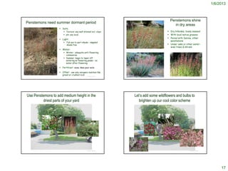 1/6/2013



                                                                                                                                Penstemons shine
Penstemons need summer dormant period
                                                                                                                                  in dry areas
                    Soils:
                        Texture: any well-drained incl. clays                                                                 Dry hillsides; lovely massed
                        pH: any local                                                                                         With local native grasses
                                                                                                                               Paired with Salvias, other
                    Light:
                                                                                                                                penstemons
                          Full sun to part-shade – dappled
                           shade fine                                                                                          Under oaks or other water-
                                                                                                                                wise trees & shrubs
                    Water:                                       http://xasauantoday.com/2009/05/04/spring-at-the-indians/


                        Winter: adequate until flowering
                         commences
                        Summer: begin to taper off
                         watering as flowering peaks – no
                         water after flowering

                    Fertilizer: none; likes poor soils

                    Other: use only inorganic mulches like
                      gravel or crushed rock.
                                                © Project SOUND   http://www.flickr.com/photos/amarguy/2388294009/                                                       © Project SOUND
                                                                                                                                http://www.flickr.com/photos/12205793@N04/5116623276/




Use Penstemons to add medium height in the                                         Let’s add some wildflowers and bulbs to
         driest parts of your yard                                                    brighten up our cool color scheme




                                                © Project SOUND                                                                                                          © Project SOUND




                                                                                                                                                                                                17
 