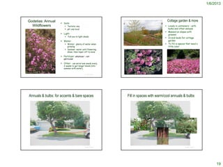 1/6/2013



   Godetias: Annual                                                                                                      Cottage garden & more
                           Soils:
     Wildflowers              Texture: any                                                                             Lovely in containers – with
                              pH: any local                                                                             bulbs and other annuals
                                                                                                                        Massed on slopes with
                           Light:                                                                                       grasses
                                Full sun to light shade
                                                                                                                        In mid-beds for cottage
                           Water:                                                                                       garden
                              Winter: plenty of water when                                                             To fill in spaces that need a
                               growing                               © 1998 Gary A. Monroe                               little color
                              Summer: water until flowering
                               slows, then taper off to none

                           Fertilizer: whatever – not
                            particular

                           Other: can serial sow seeds every
                            2 weeks to get longer bloom (into
                            summer with water)
© 2005 Doreen L. Smith

                                                   © Project SOUND                                                                        © Project SOUND
                                                                        © Br. Alfred Brousseau, Saint Mary's College




      Annuals & bulbs: for accents & bare spaces                            Fill in spaces with warm/cool annuals & bulbs




                                                   © Project SOUND                                                                        © Project SOUND




                                                                                                                                                                 19
 