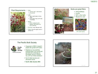 1/6/2013



                                                                                                                                                                                                     Bulbs are great fillers
   Plant Requirements                                         Soils:
                                                                  Texture: most – well-drained                                                                                                                                 Along walkways
                                                                  pH: any local
                                                                                                                                                                                                                                In pots
                                                              Light:                                                                                                                                                           With other bulbs
                                                                    Best in light shade to fairly
                                                                     shady                                                                                                                                                      Massed for color
                                                                    Great under trees; north side
                                                                     of buildings                       http://www.learn2grow.com/plants/dichelostemma-ida-maia-images-large-134271/



                                                              Water:
                                                                  Winter: adequate water
                                                                  Summer: need summer dry
                                                                   after flowering

                                                              Fertilizer: none; likes poor soils

                                                              Other: fine with organic mulch if
                                                                summer dry                                                                                                                                                      http://newhollandbulb.com/product.asp_Q_pn_E_76659

                                                                                                                                                                                                                                     With ‘Queen Fabiola’
http://www.flickr.com/photos/anniesannuals/4408931419/
                                                                                      © Project SOUND                                                                                  http://www.brentandbeckysbulbs.com/spring/productview/?sku=14-0103    © Project SOUND
                                                                                                                                                                                        http://ele-middleman.at.webry.info/200606/article_37.html




                                    The Pacific Bulb Society
                                                          Organized in 2002 to benefit
                                                           people who garden with bulbs.
                                                          Emphasis on ‘successfully
                                                           growing bulbs in our yards and
                                                           gardens and in sharing our
                                                           successes, and our failures
                                                           too, with our fellow members.’
                                                          Pacific Bulb Society List –
                                                           discussion forum
                                                          Pacific Bulb Society Wiki

                                                                                                         http://seedbyte.blogspot.com/2009_12_11_archive.html
                                                                                      © Project SOUND                                                                                                                                                        © Project SOUND




                                                                                                                                                                                                                                                                                          21
 