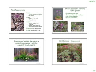 1/6/2013



                                                                                                                                                                                   Onions: decorative additions
Plant Requirements                                                                                                                                                                        to the garden
                                                                              Soils:
                                                                                                                                                                                      As an attractive pot plant
                                                                                  Texture: does best in clay soils
                                                                                                                                                                                      Fine in part-shade under oaks & pines
                                                                                  pH: any local
                                                                                                                                                                                      Plant with native grasses
                                                                              Light:                                                                                                 Mass for prettiest show
                                                                                    Full sun to part shade
                                                                                    Fine under trees                    http://www.alpinegardensociety.net/discussion/atshows//
                                                                                                                         East+Anglia+Show+Formal+Photos/259/?page=3


                                                                              Water:
                                                                                  Winter: adequate until
                                                                                   flowering
                                                                                  Summer: needs summer dry
                                                                                   period after flowering complete

                                                                              Fertilizer: none; likes poor soils

                                                                              Other: inorganic mulch, if any
Gary A. Monroe @ USDA-NRCS PLANTS Database
                                                                                                                                                                                                 http://www.flickr.com/photos/sftrajan/3455172798/
                                                                                                       © Project SOUND   http://www.flickr.com/photos/xerantheum/469645349/                                                                          © Project SOUND




           The choice of red/pink filler plants is                                                                                                      Island Buckwheat – Eriogonum grande
             expanding every year – with the
                popularity of native plants




            http://www.calfloranursery.com/pages_plantlists/plantinfo.html


                                                                                                       © Project SOUND                                                                                                                               © Project SOUND




                                                                                                                                                                                                                                                                            23
 