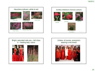 1/6/2013




      Heuchera cultivars: white to red                                                                                                                   Achillea millefolium (Yarrow) cultivars




                                                                                                                                                                                                                                                              http://www.sacbee.com/2011/04/05/3502356/arboretu
‘Canyon Belle’                                                                                         ‘Canyon Melody’                                                                                  http://www.tinpenny.plus.com/CatFrame.htm             m-all-star-plants.html

                                                   'Canyon Delight'                                                                       http://www.larnerseeds.com/_pages/wildflower_perennial.html                                                                    ‘Island Pink’
                                                                                                                                                                                                                 ‘Red Velvet’
                                                                                                                                                   ‘Rosy Red’




                                                 Heuchera 'Canyon Duet'
‘Canyon Chimes’
                                                                                                                © Project SOUND
                                                                                                                                                                                                                                          ‘Pink Grapefruit’                        © Project SOUND




Bright, saturated reds are – let’s face                                                                                                                           Unless, of course, everyone’s
       it – ‘leading lady’ colors                                                                                                                                     wearing a red dress!




http://www.skinnyvscurvy.com/eva-longoria/eva-
                                                             http://www.probertencyclopaedia.com/photolib/people/Girl%20Red%20Dress.htm              http://www.flickr.com/photos/thehearttruth/2176283654/
longoria-fabulous-red-dress-golden-globes.html
                                                              http://homepage.mac.com/cjbowdish/ManzanaTrailandFigueroaMtMay2008/SOUND
                                                                                                                     © Project                                                                                                                                                     © Project SOUND




                                                                                                                                                                                                                                                                                                                       24
 