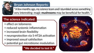 “Afewmonthsago,myscienceteamandIstumbledacrosssomething
very interesting: magic mushrooms may be beneficial for health.”
+ effect on telomeres
Bryan Johnson Reports:
The science indicated:
“We decided to test it.”
+ potential gut microbiome modulation
+ improved sexual satisfaction
+ neuroprotection via 5-HT2A activation
+ increased brain flexibility
+ reduced systemic inflammation
 