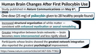 Human Brain Changes After First Psilocybin Use
https://www.nature.com/articles/s41467-026-71962-3
Study published in Nature Communications on May 6th
,
2026
One dose(25 mg)of psilocybin given to28 healthypeople found:
Increased structural organization of white matter —
consistent with enhanced myelination or axonal remodeling.
Participants whose brains showed the greatest network integration
also reported the greatest psychological improvement.
Greater integration between brain networks — brain
becomes more interconnected and less rigidly siloed.
 