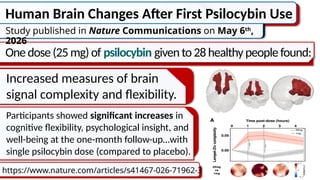 Human Brain Changes After First Psilocybin Use
https://www.nature.com/articles/s41467-026-71962-3
Study published in Nature Communications on May 6th
,
2026
One dose(25 mg)of psilocybin given to28 healthypeople found:
Increased measures of brain
signal complexity and flexibility.
Participants showed significant increases in
cognitive flexibility, psychological insight, and
well-being at the one-month follow-up…with
single psilocybin dose (compared to placebo).
 