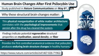 Human Brain Changes After First Psilocybin Use
https://www.nature.com/articles/s41467-026-71962-3
Study published in Nature Communications on May 6th
, 2026
Provides the first controlled anatomical evidence that psilocybin
produces enduring brain structure changes in healthy humans.
Why these structural brain changes matter:
This physical reorganization of white matter architecture
correlates with the psychological improvements that
persist after the drug has cleared the system.
Findings indicate potential regenerative structural
properties on myelination, axonal density, or fiber
coherence.
 