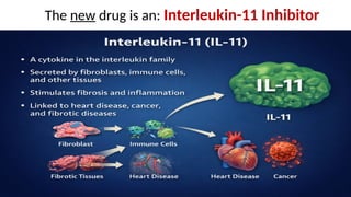 The new drug is an: Interleukin-11 Inhibitor
 