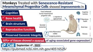 Monkeys Treated with Senescence-Resistant
Mesenchymal Progenitor Cells showed improvements in:
 Cognition
50%+ of tissues showed a reversal
 Preserved Genomic Integrity
 Reproductive function
 Brain structure
 Bone health
of aging-associated gene expression!
September 4th
, 2025
https://pubmed.ncbi.nlm.nih.gov/40516525/
 