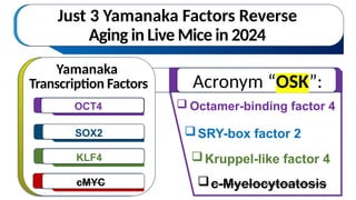  Octamer-binding factor 4
Just 3 Yamanaka Factors Reverse
Aging in Live Mice in 2024
Yamanaka
Transcription Factors
OCT4
KLF4
SOX2
cMYC
Acronym “OSK”:
c-Myelocytoatosis
SRY-box factor 2
Kruppel-like factor 4
 
