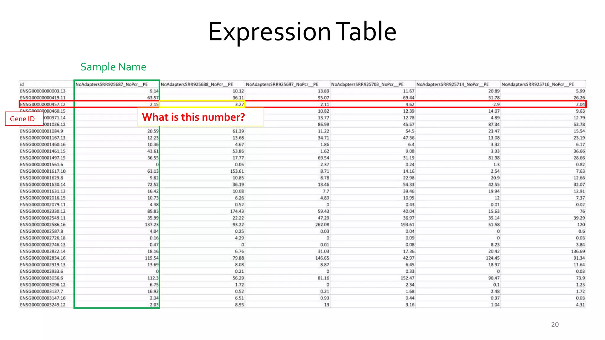 20
ExpressionTable
Sample Name
Gene ID What is this number?
 