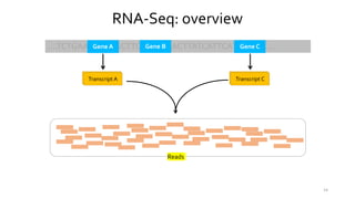 14
.…TCTGAAACAATGCTTCAATCTAACTTATCATTCATTGGGA….Gene A Gene B Gene C
Transcr. ATranscript A Transcr. ATranscript C
Reads
RNA-Seq: overview
 