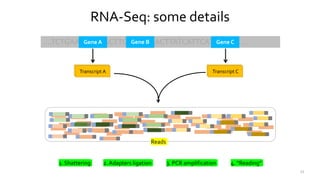 15
.…TCTGAAACAATGCTTCAATCTAACTTATCATTCATTGGGA….Gene A Gene B Gene C
Transcr. ATranscript A Transcr. ATranscript C
Reads
RNA-Seq: some details
1. Shattering 2. Adapters ligation 3. PCR amplification 4. “Reading”
 