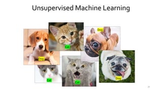 28
Unsupervised Machine Learning
Dog
Dog
Dog
Cat
Cat
Cat
 