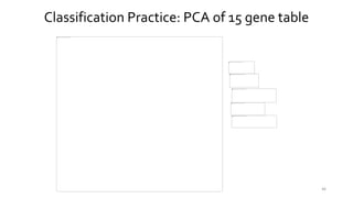 46
Classification Practice: PCA of 15 gene table
 