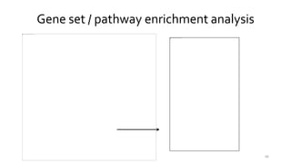 66
Gene set / pathway enrichment analysis
 