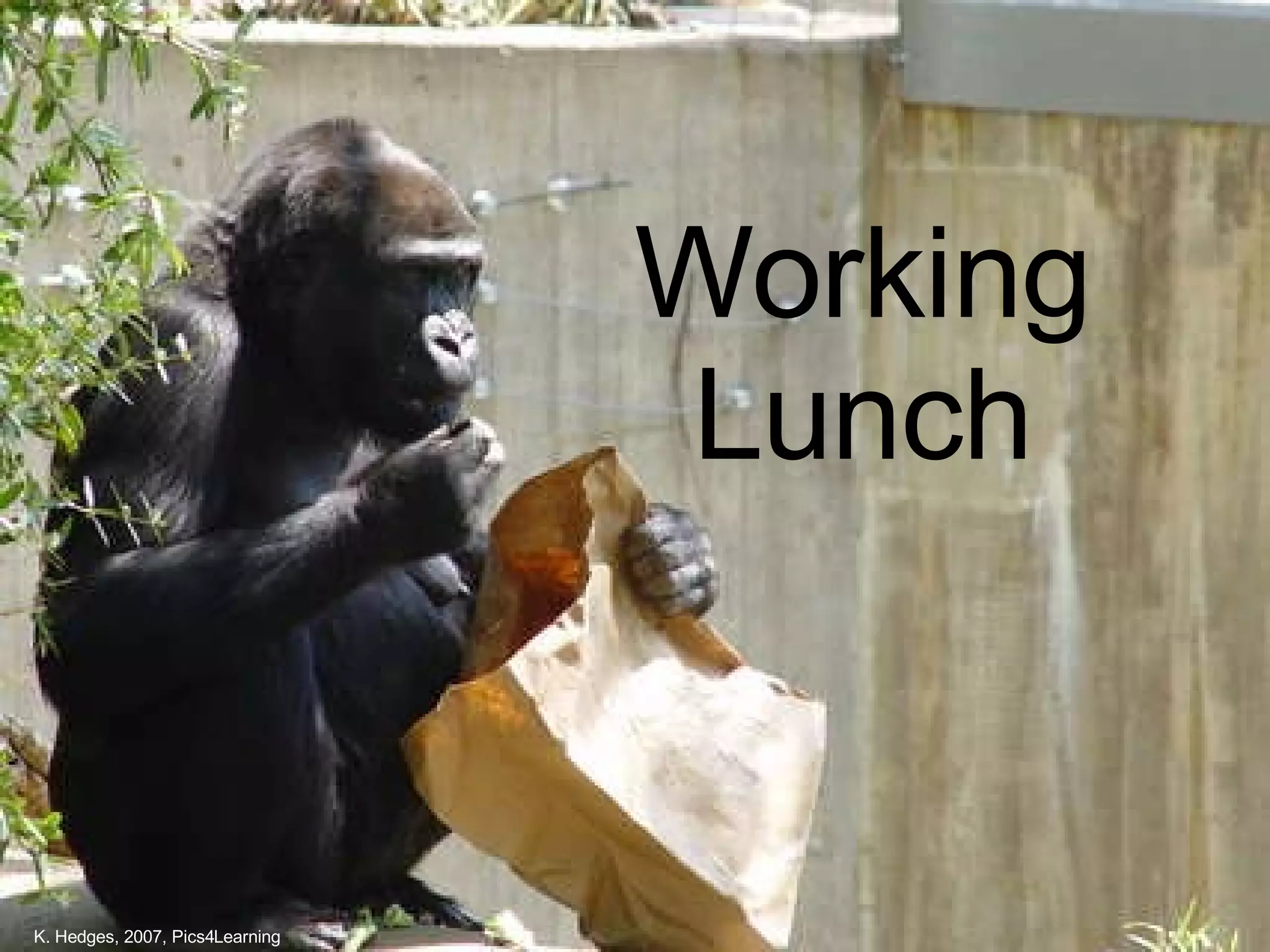 Working Lunch K. Hedges, 2007, Pics4Learning 