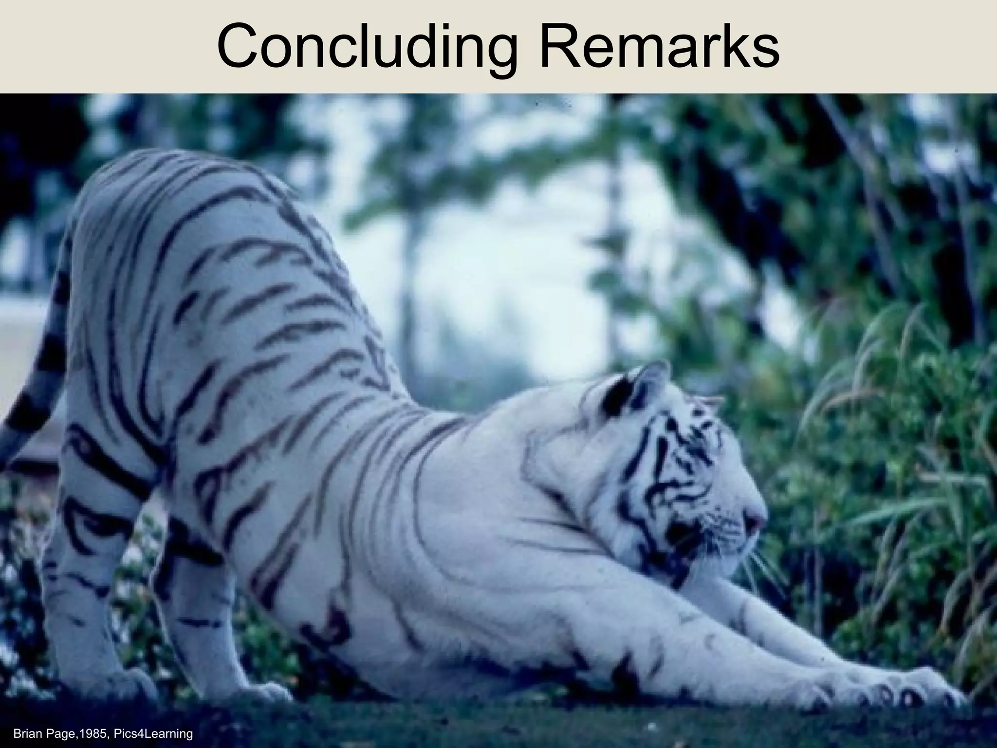 Concluding Remarks Brian Page,1985, Pics4Learning 