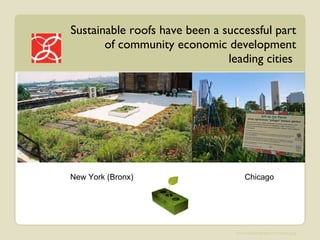 Sustainable roofs have been a successful part of community economic development leading cities    New York (Bronx) Chicago  