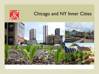 Chicago and NY Inner Cities 