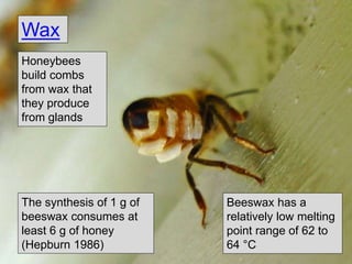 Honeybees
build combs
from wax that
they produce
from glands
Wax
16
The synthesis of 1 g of
beeswax consumes at
least 6 g of honey
(Hepburn 1986)
Beeswax has a
relatively low melting
point range of 62 to
64 °C
 