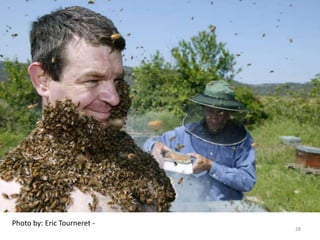 Photo by: Eric Tourneret -
28
 