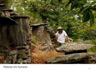 Photo by: Eric Tourneret -
45
 