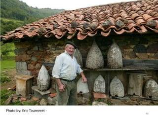 Photo by: Eric Tourneret -
46
 