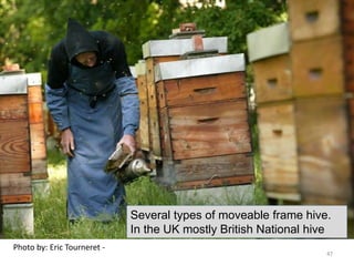 Photo by: Eric Tourneret -
Several types of moveable frame hive.
In the UK mostly British National hive
47
 